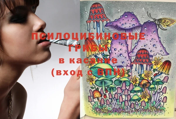 эйфоретик Абинск