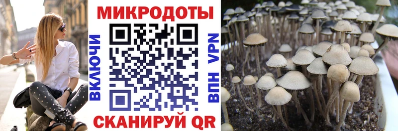 Псилоцибиновые грибы прущие грибы цены Нариманов